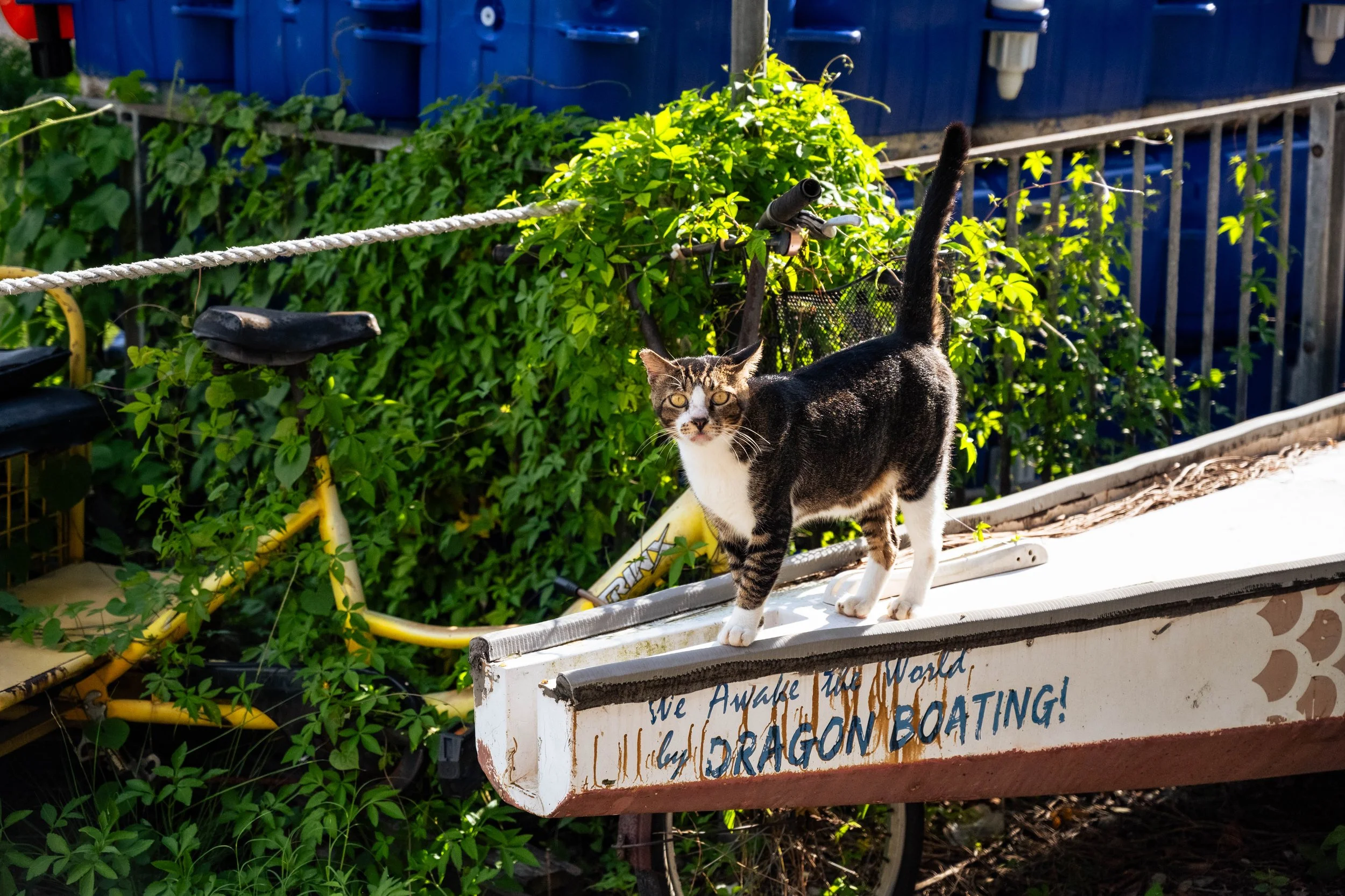 DSC_6916.jpg