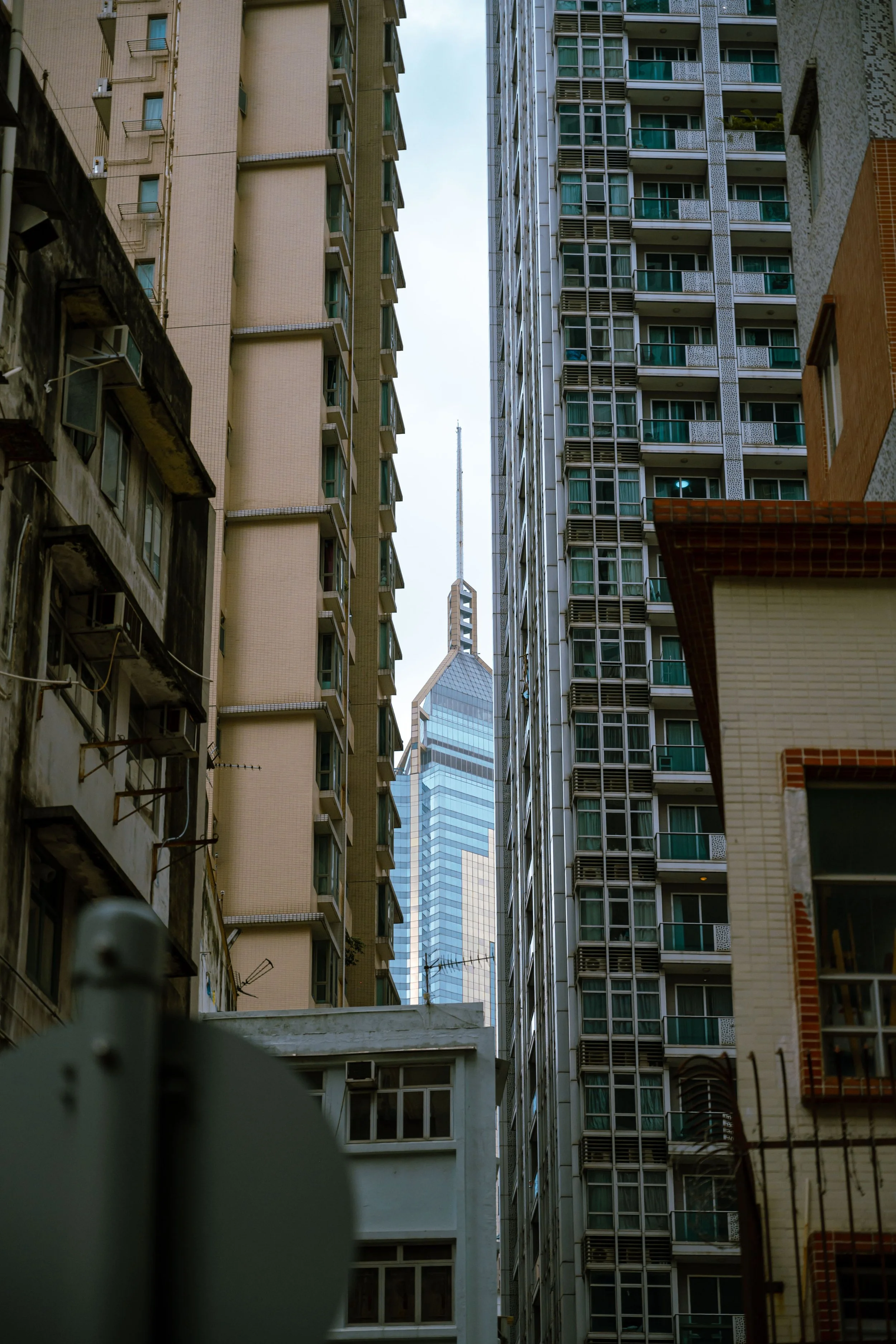 DSC_5941.jpg
