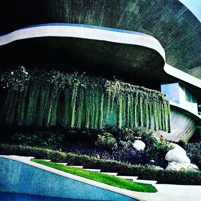 Living Architecture 🌀
We&rsquo;re here for it. 
There is a major revolution coming to our idea of a home, a community, how we choose to gather, how we choose to be with the land, how we use space, how we use materials. Incorporating plants into architecture is the future, bringing nature inside, using sustainable materials and methods. We have been researching these ideas for years and so excited to begin to experiment on the land. 📷 @nik_gallo