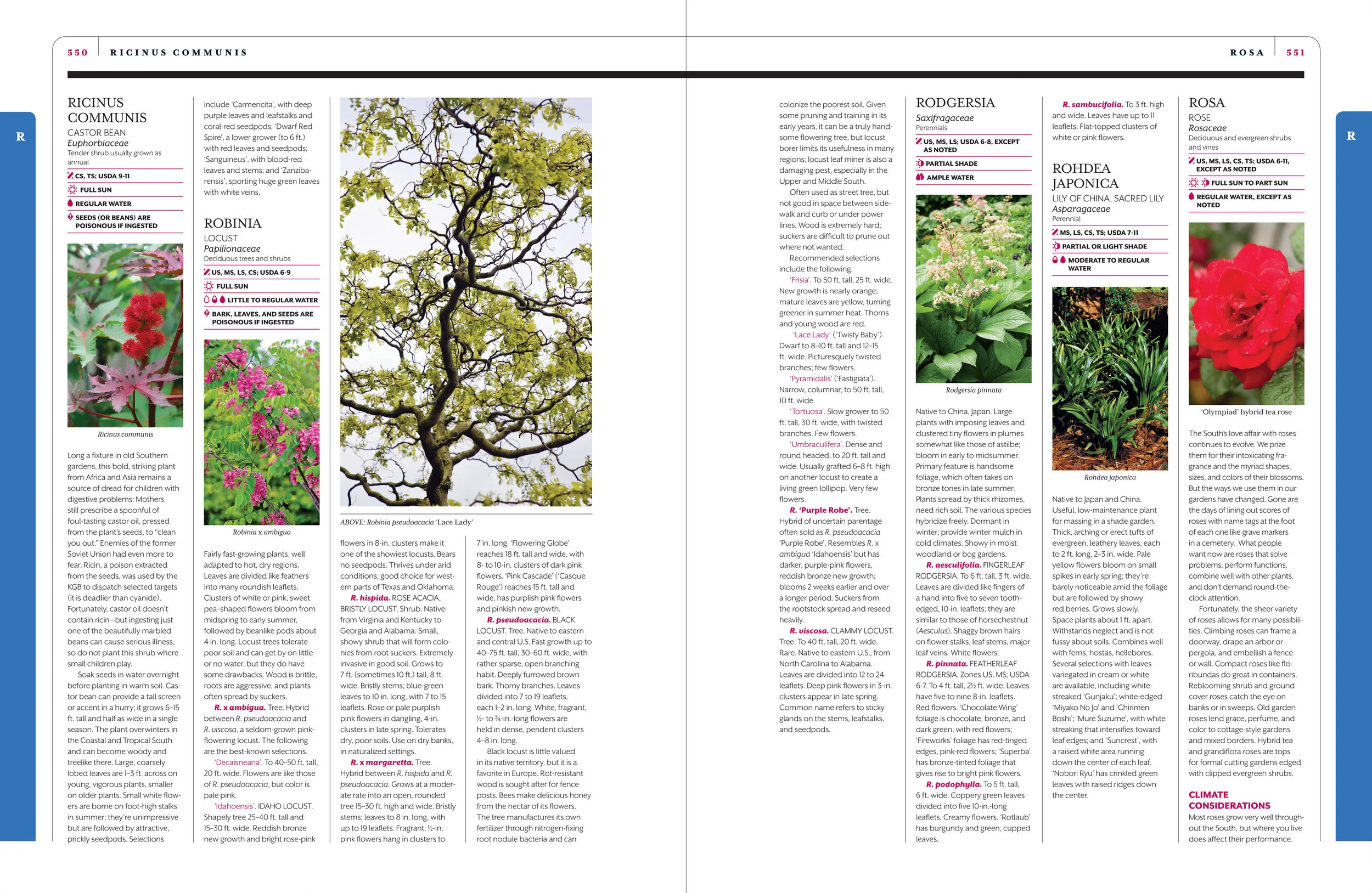 The New Southern Living Garden Book Inside Spread