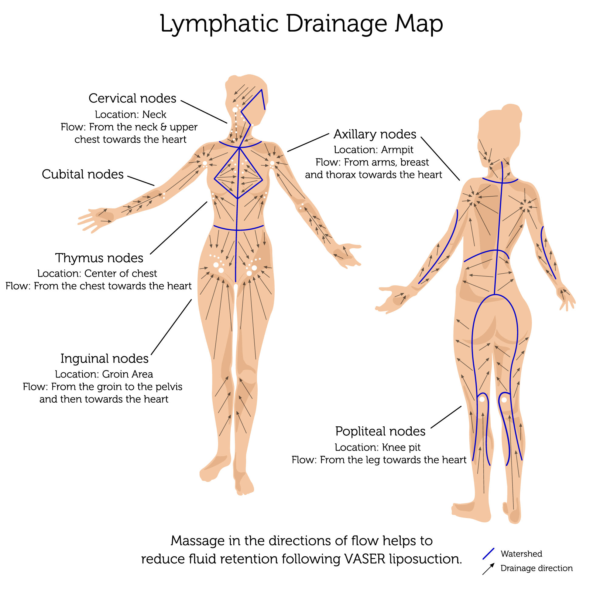 What is Manual Lymphatic Drainage (MLD)?