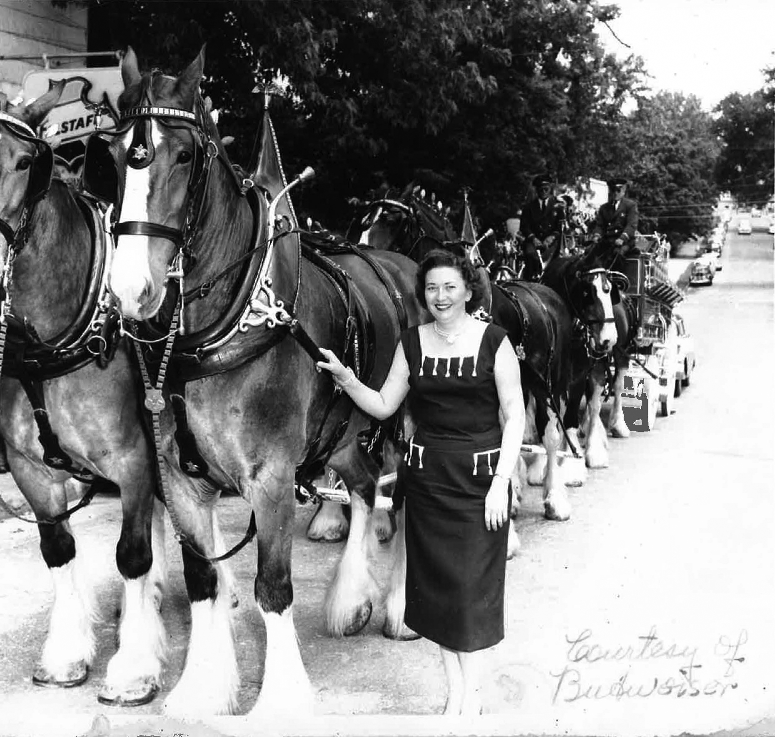 Maxine with Clydesdales - 1960ish - Partial Pic.jpg