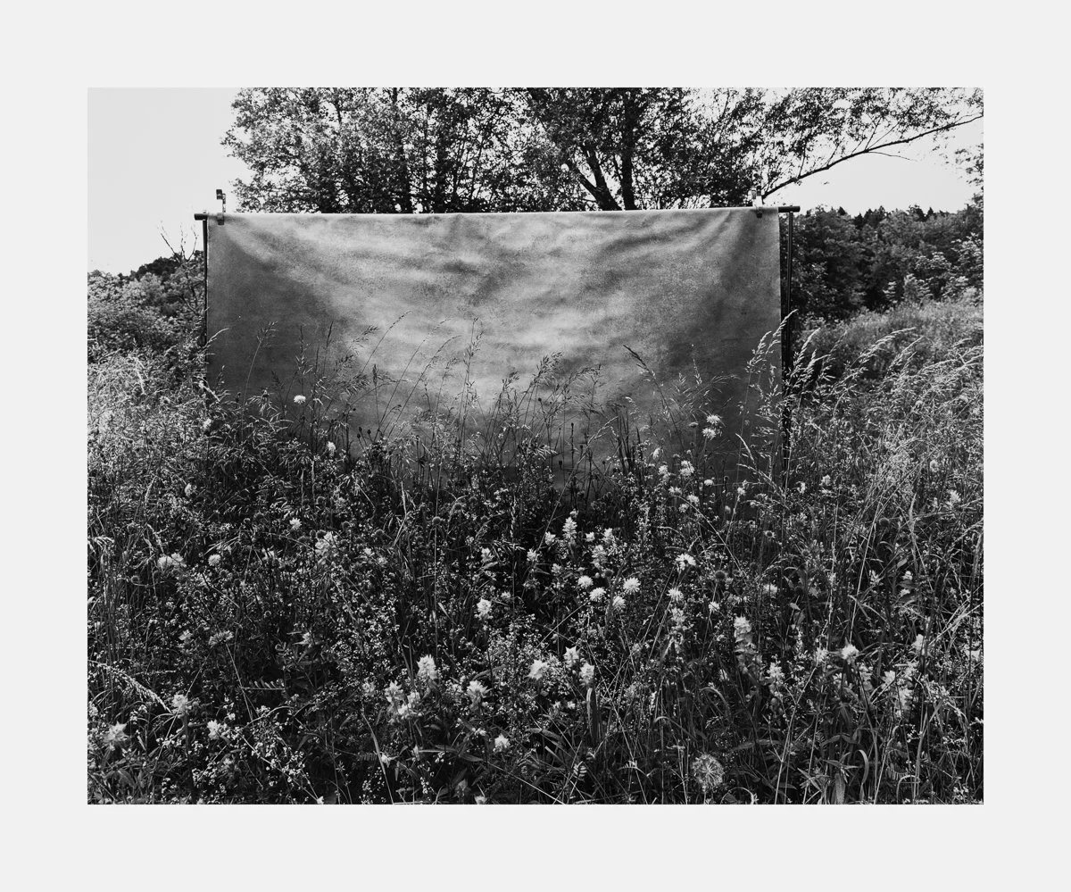 Meadow #5, May 2025_web.jpg