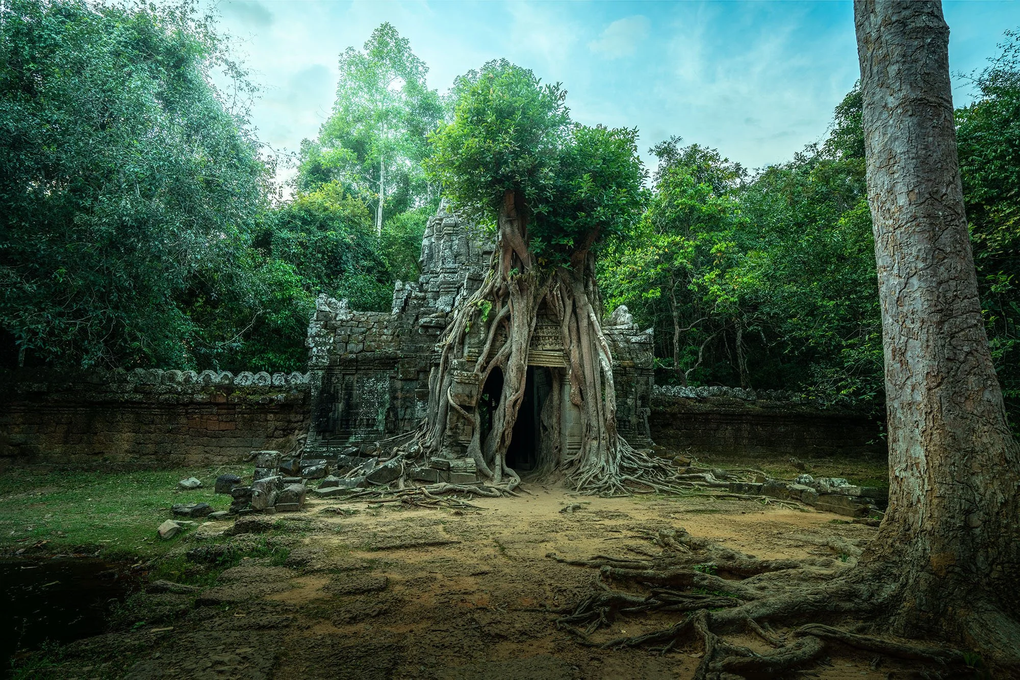 DSC06929-HDR.jpg