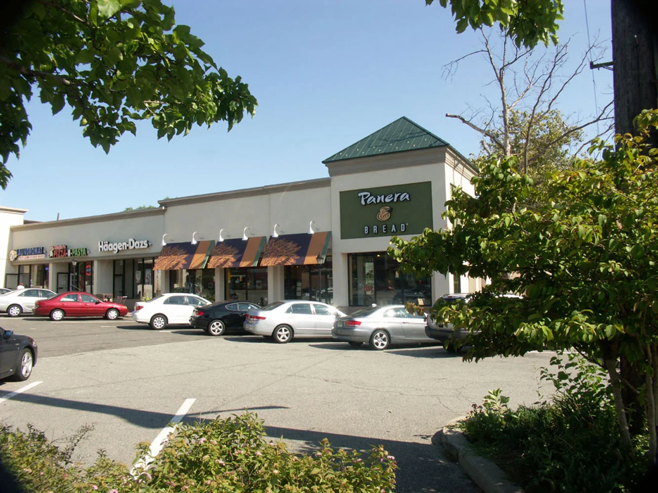 Panera-Bread-Green.jpg
