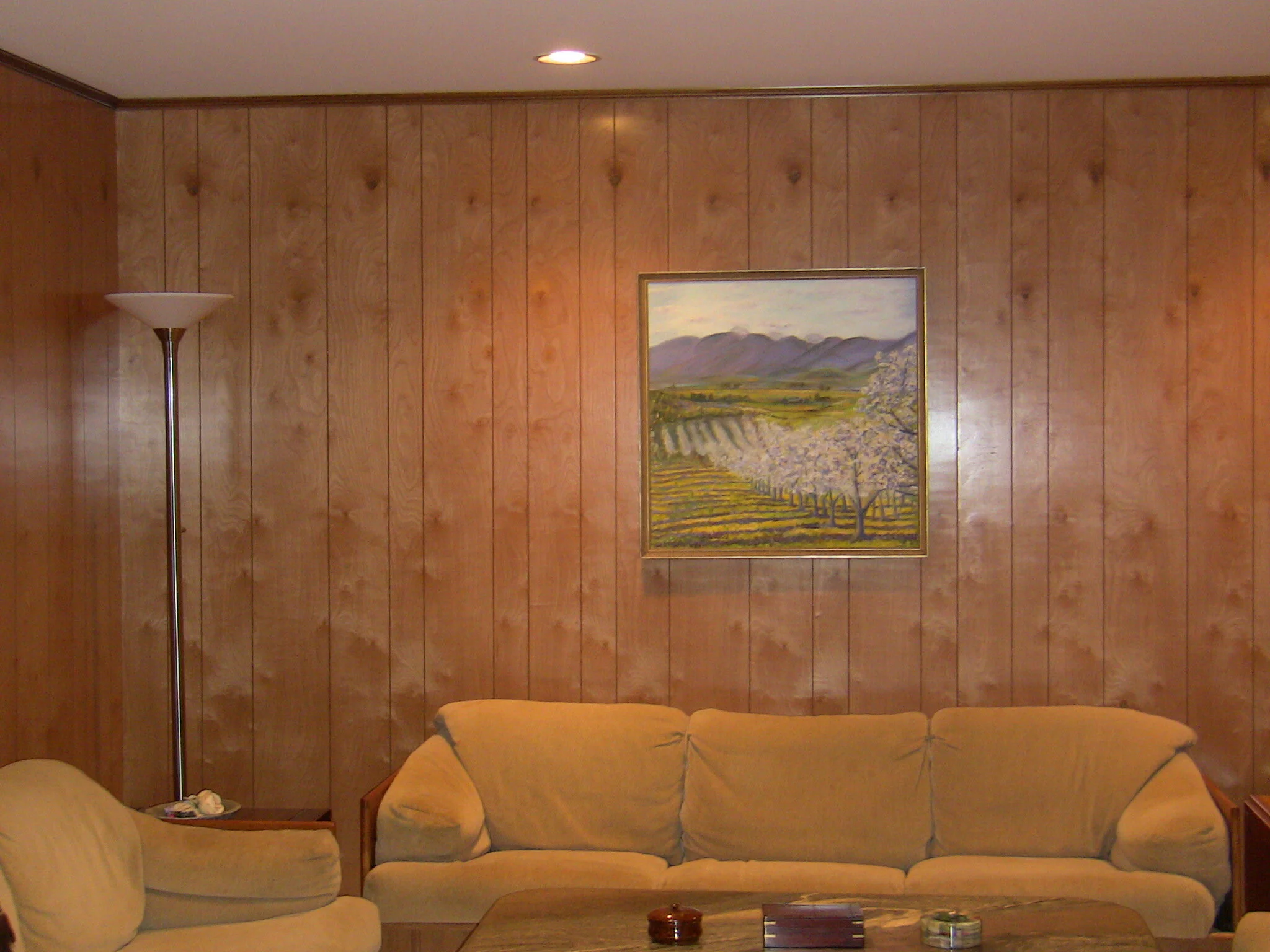   BEFORE - FAMILY ROOM (BASEMENT)  