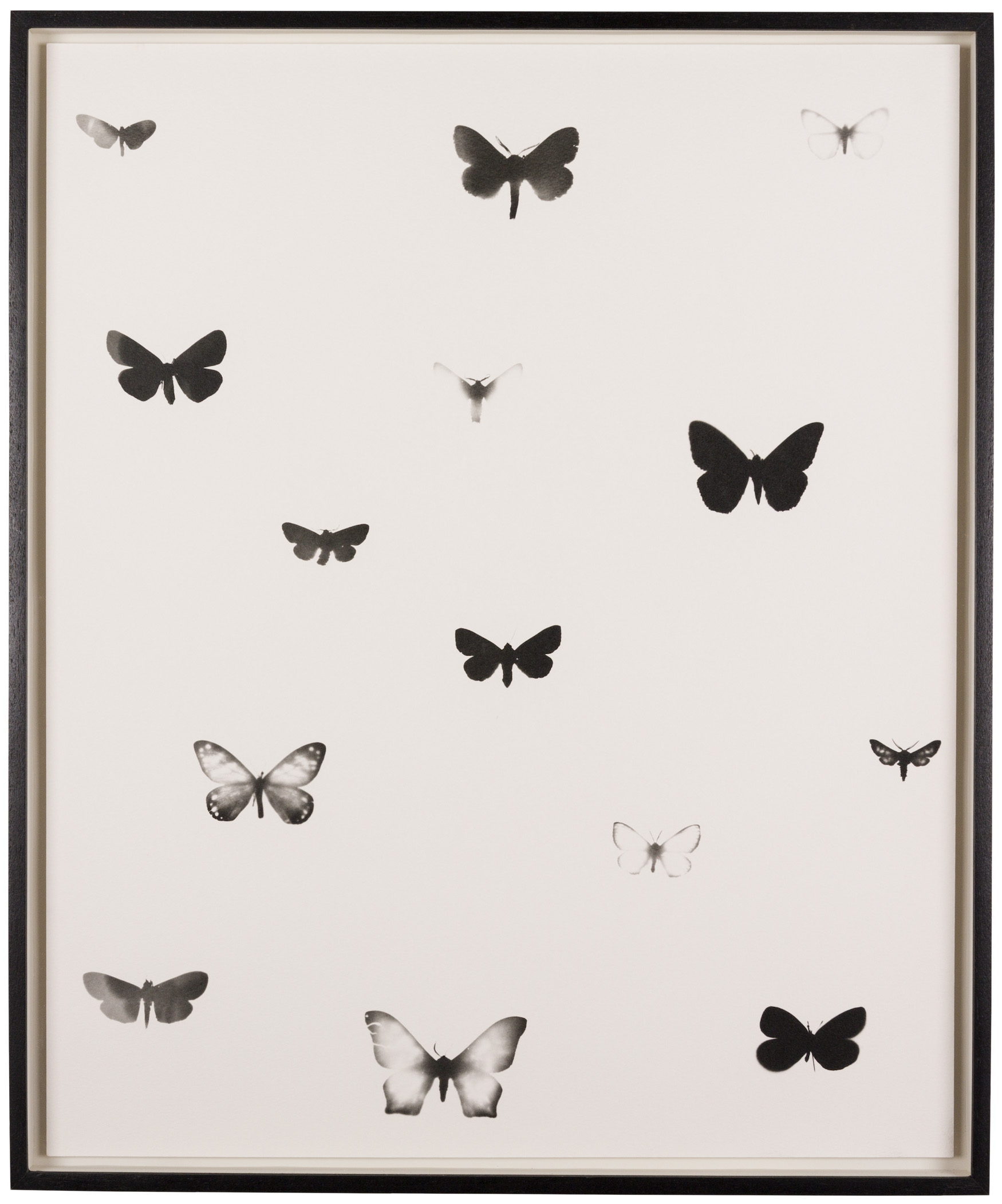 Fuga i, 2018, Handprint on cotton rag, 60,96cm x 50,8cm