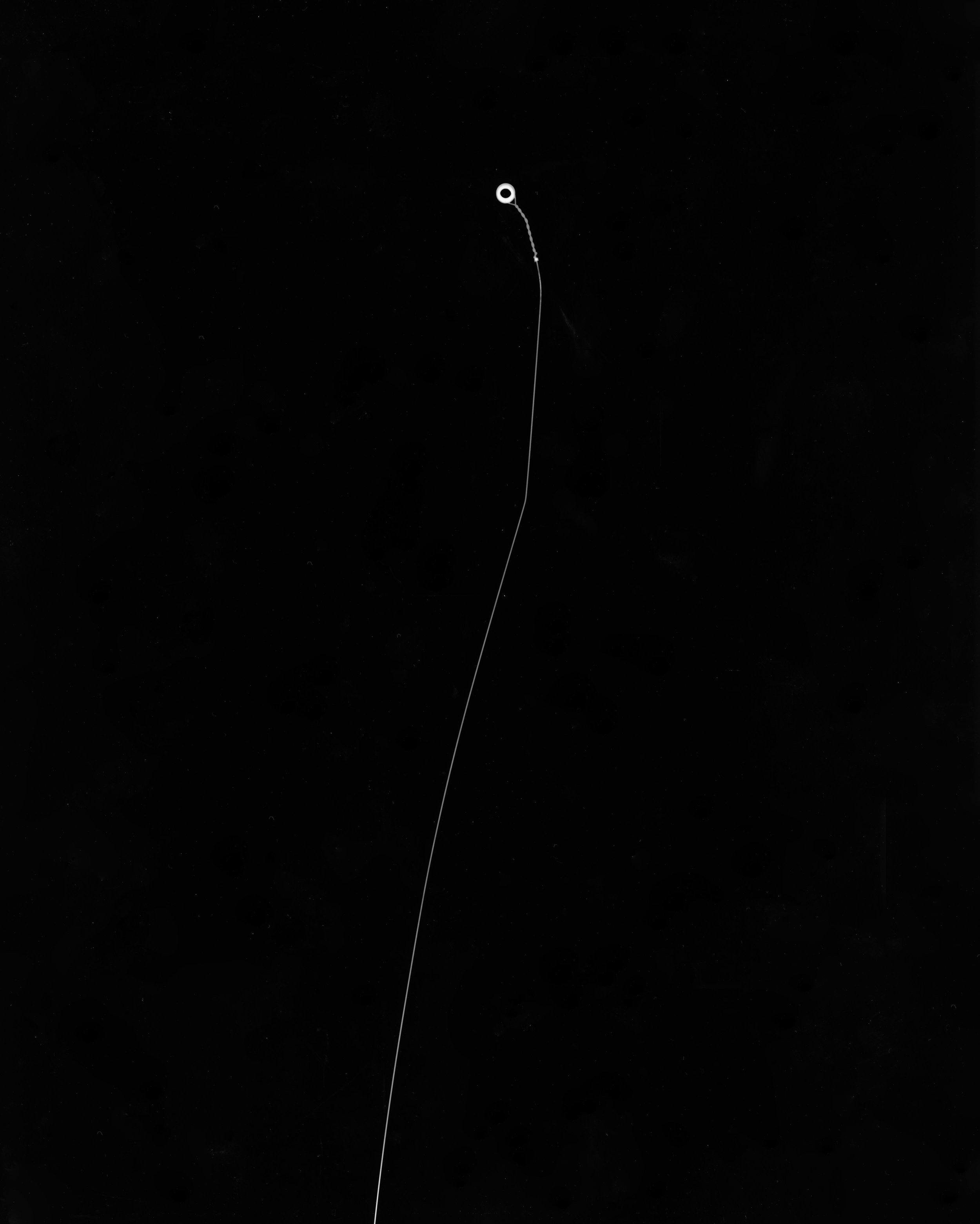 A (worn-out strings), 2017, Shadowgram on fibre paper, 8’x10’ 2017  