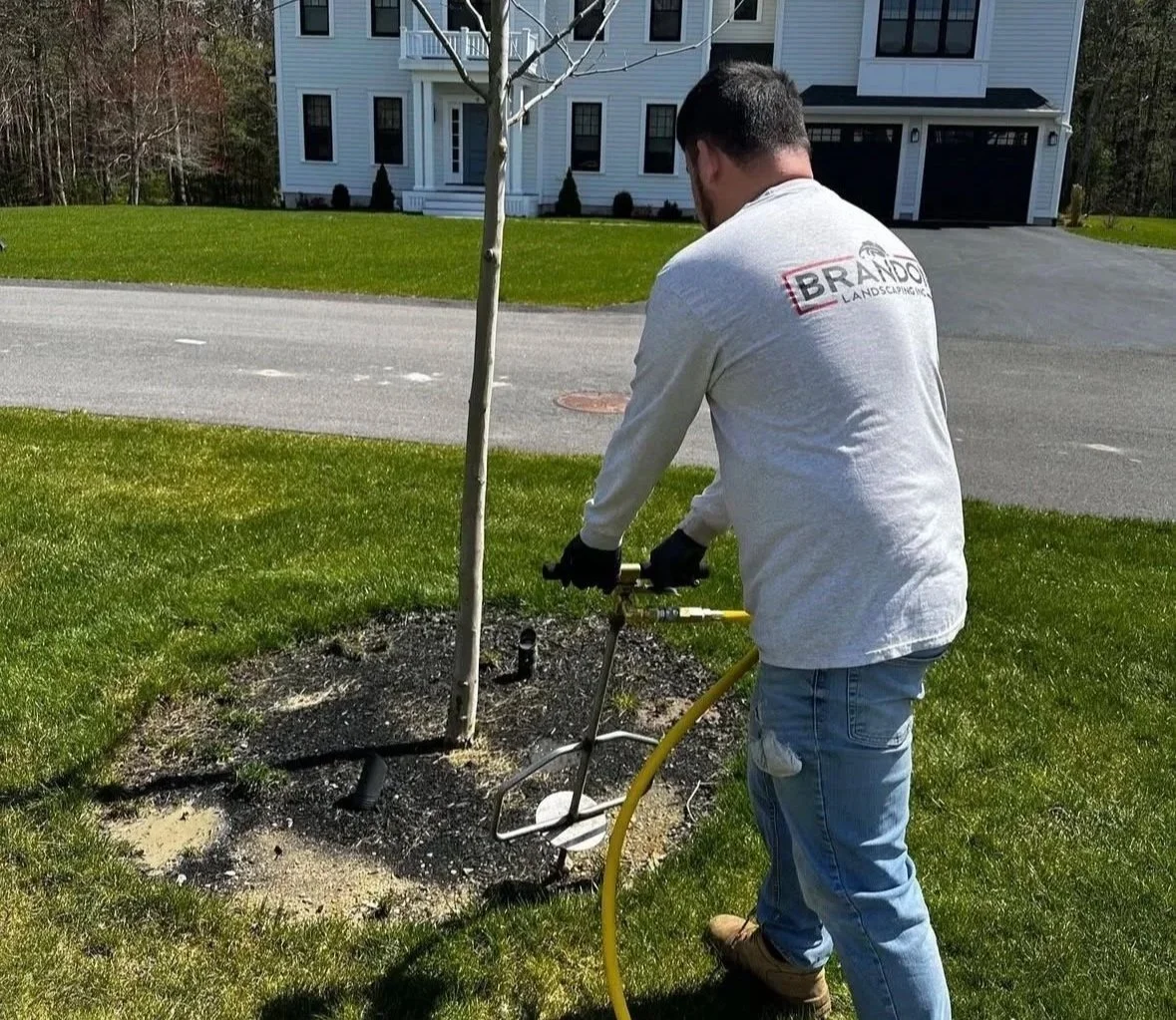 A man in a gray long-sleeve shirt and jeans wields a power auger to plant a young tree in a landscaped yard, with a white house and a street in the background.