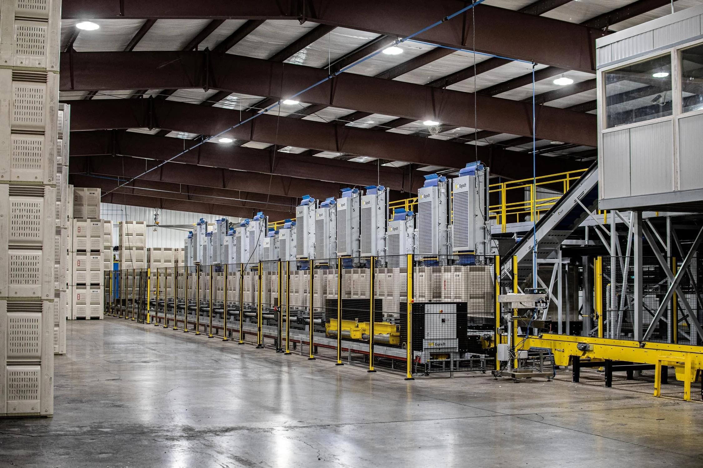 Eqraft_Modesta_Symach_Biometic_Eqrader_Optical_Onion_Potato_Grader_Binhandling_Combination_Scale_Weigher_Baxmatic_Autobagger_Cratefiller_Consumer_Packs_Baling_Line_04_Blue_Sky_Onions_NC1A_9498.jpg