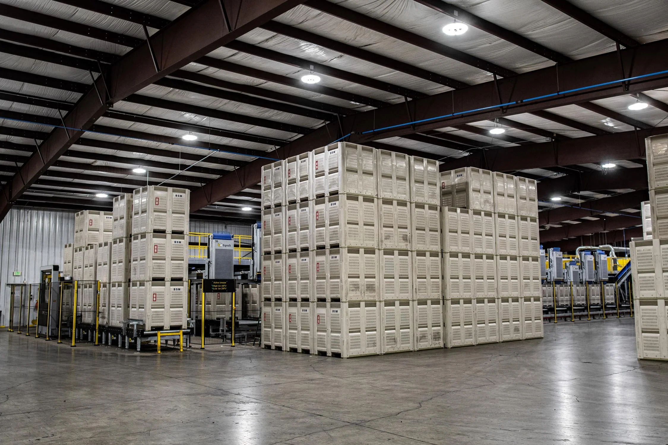 Eqraft_Modesta_Symach_Biometic_Eqrader_Optical_Onion_Potato_Grader_Binhandling_Combination_Scale_Weigher_Baxmatic_Autobagger_Cratefiller_Consumer_Packs_Baling_Line_04_Blue_Sky_Onions_NC1A_9702.jpg