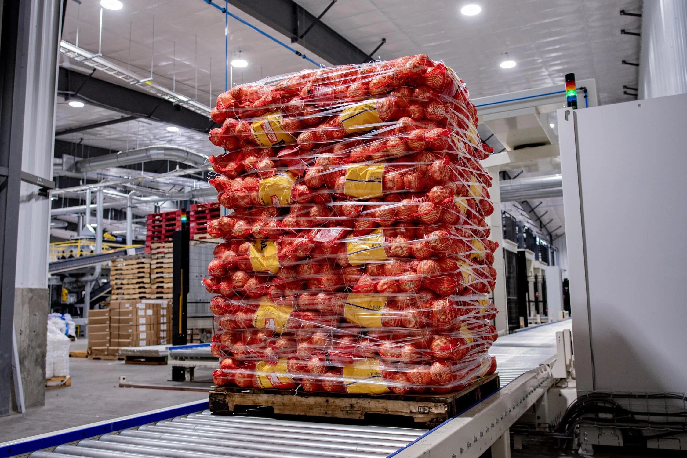 Eqraft_Modesta_Symach_Biometic_Eqrader_Optical_Onion_Potato_Grader_Binhandling_Combination_Scale_Weigher_Baxmatic_Autobagger_Cratefiller_Consumer_Packs_Baling_Line_05_Blue_Sky_Onions_NC1B_0986.jpg