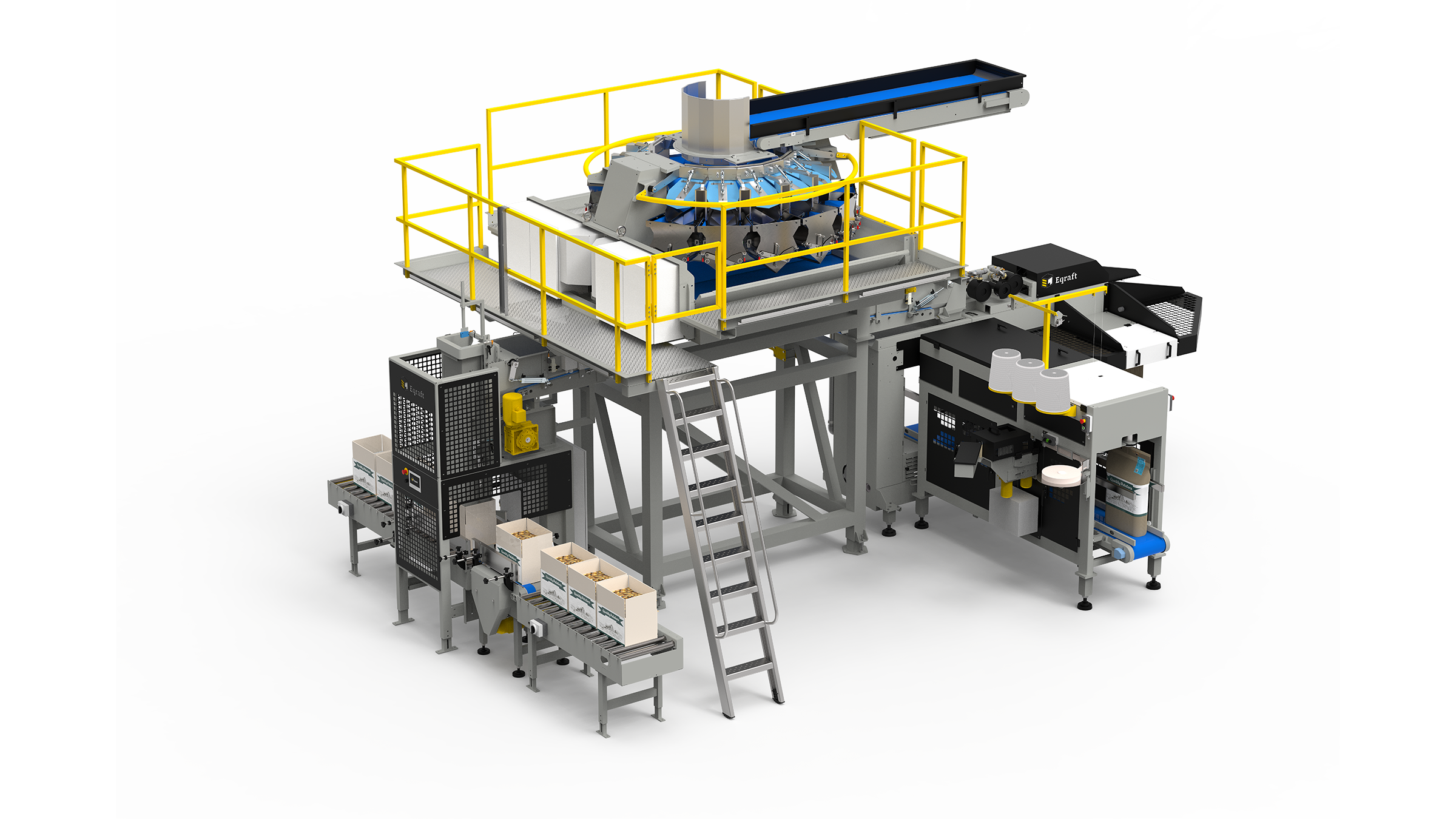 Eqraft_Agri_Business_Reception_Cleaning_Topping_Grading_Storage_Packing_Machinery_Combination_Scale_Cratefiller_Baxmatic_Sewing_Lane_Printer.png