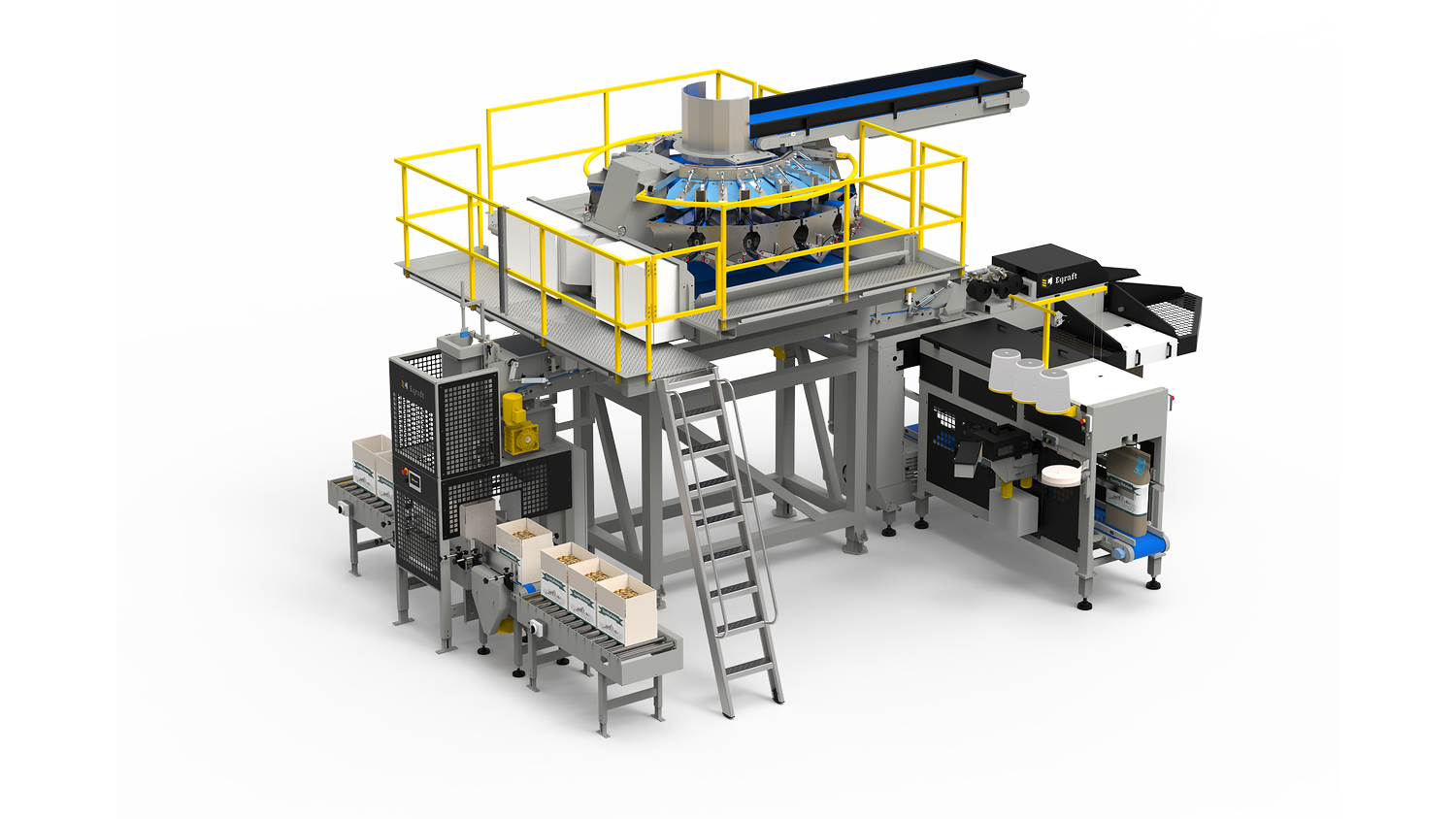 Combination Scale + Cratefiller + Baxmatic® + Sewing Lane — Eqraft®