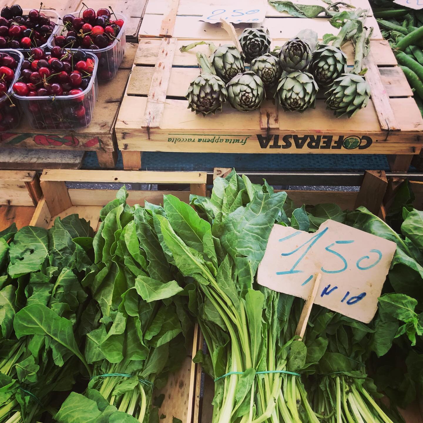 Foraging in Ostuni