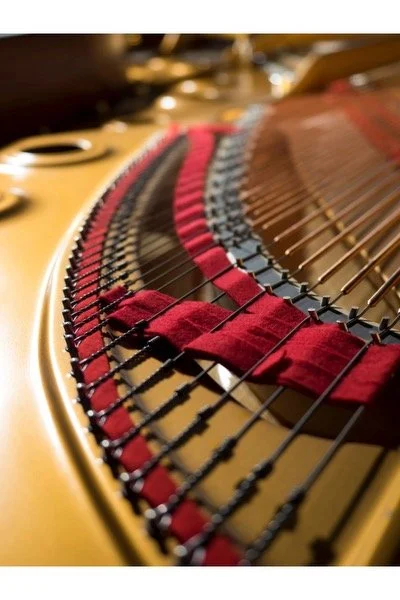 March 2024 - What Are You Listening To?