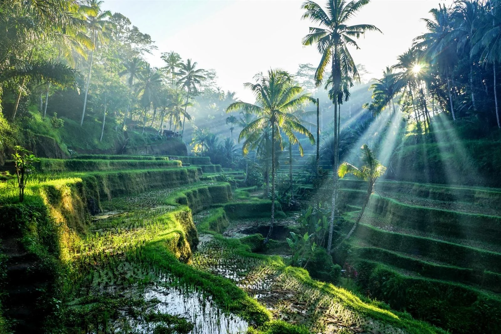 rondreis-bali-lombok_627_0_xl.jpg