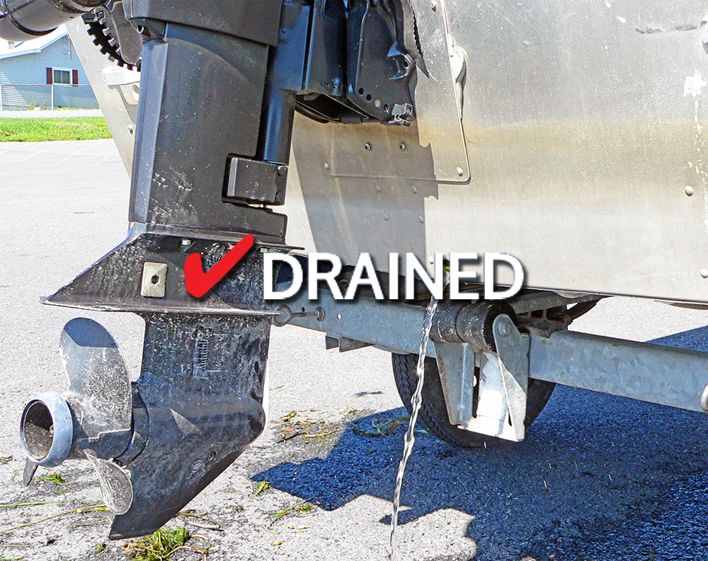 drained.jpg