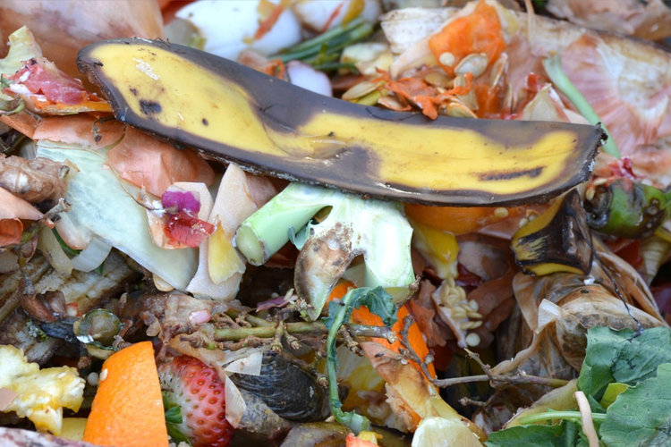Compost.jpeg