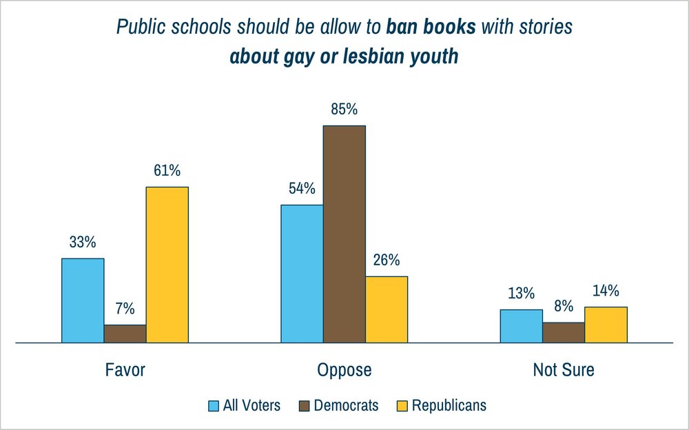 Ban books about queer youth graph.jpg