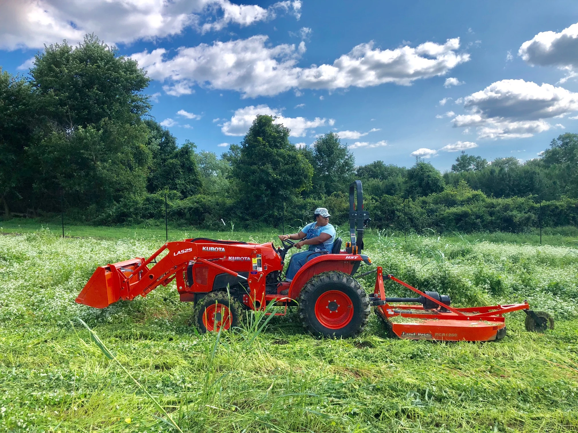 Gallery — Sandy Spring Gardens