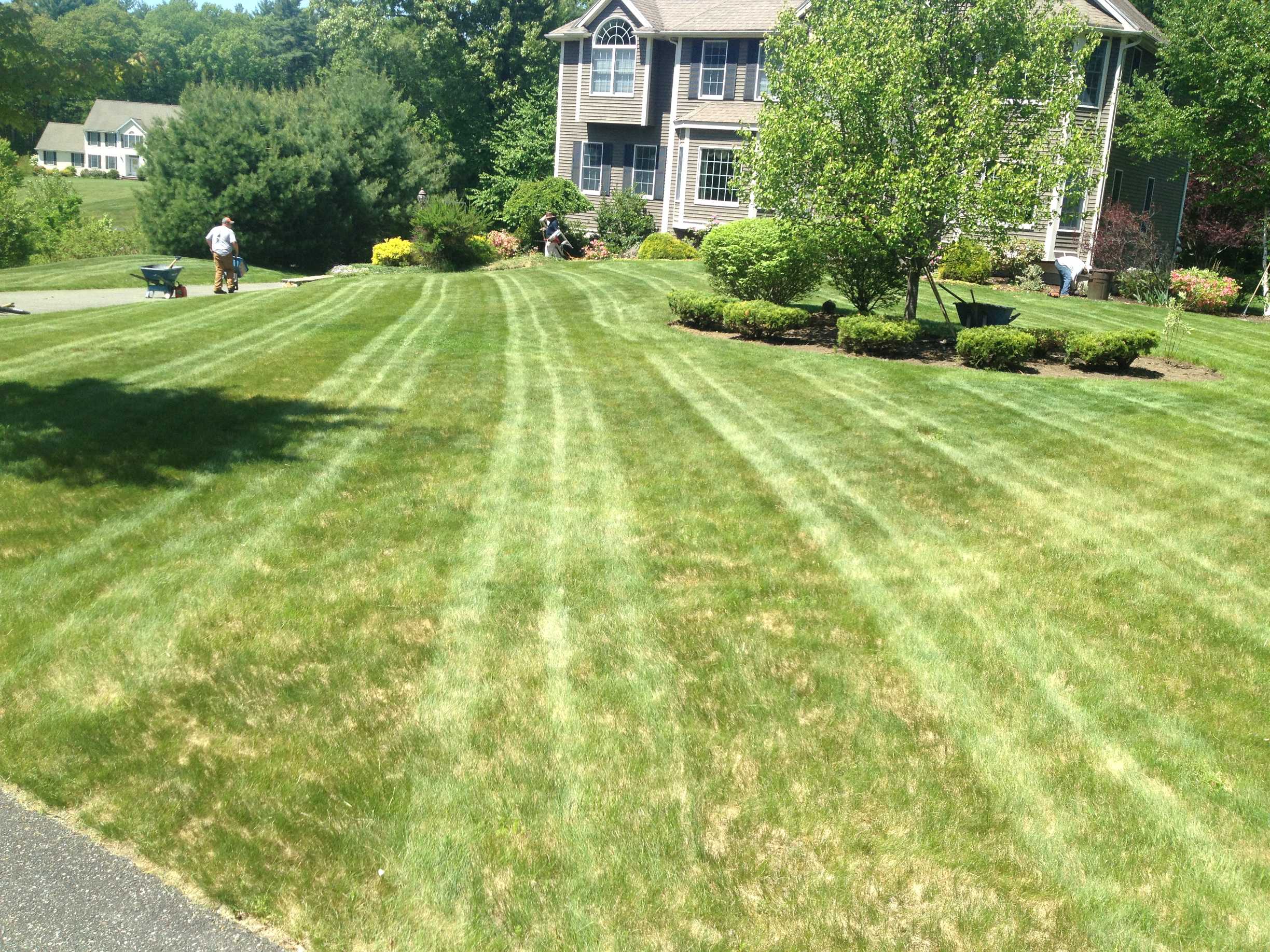 image8.jpeg