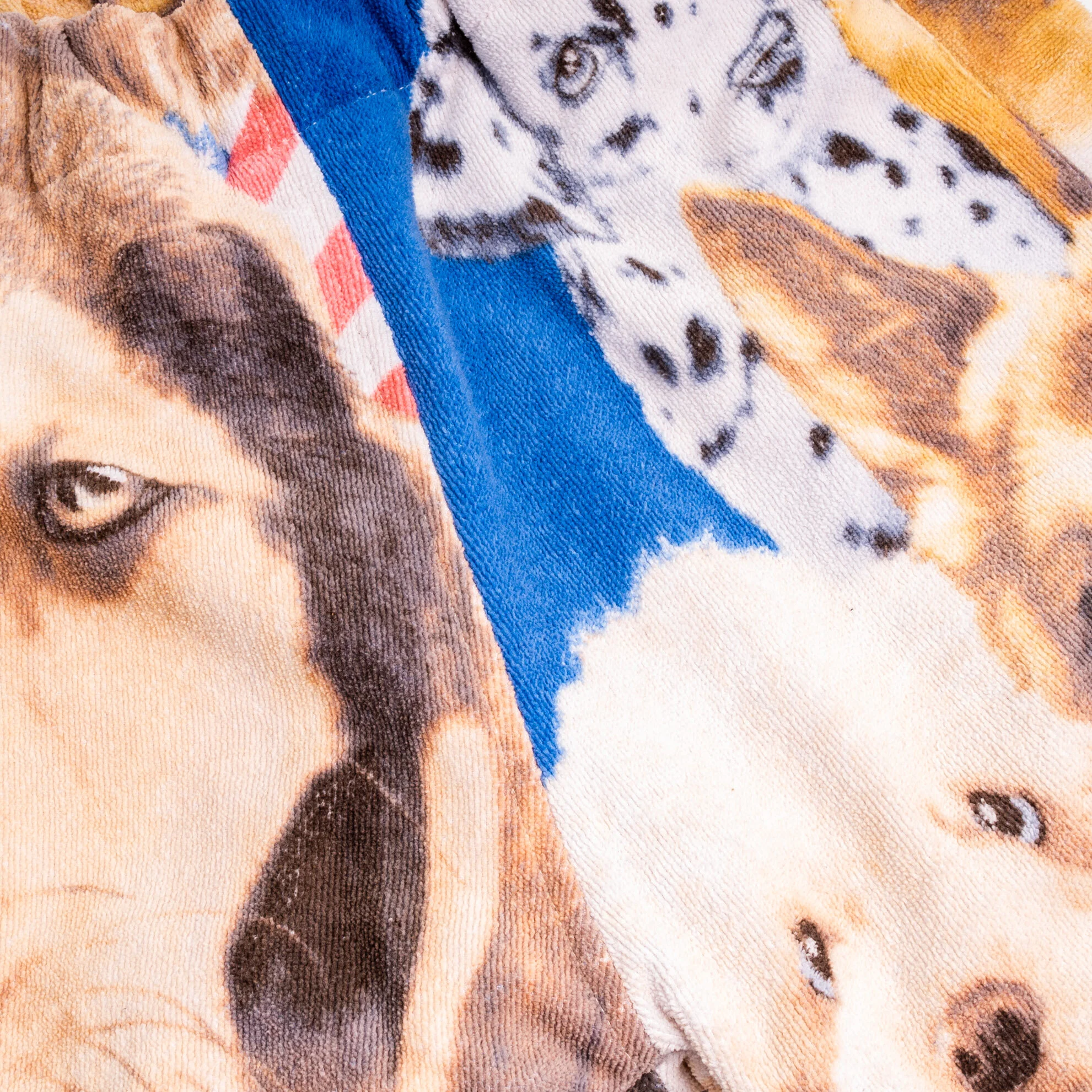 56FEF1A6-47C6-47B2-AB29-76813F6E5523