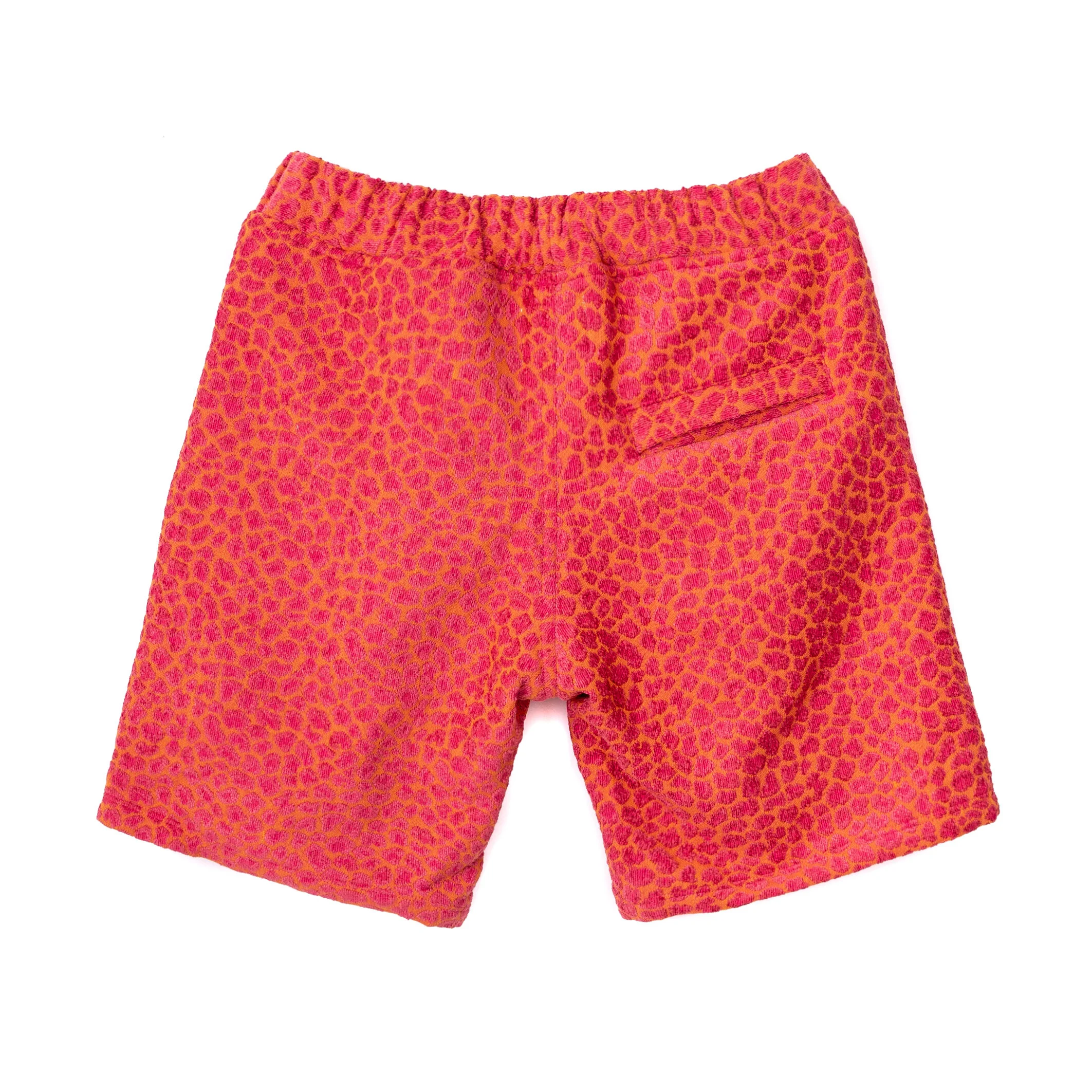 49AE6BB5-55D2-4834-83AE-09151569427B