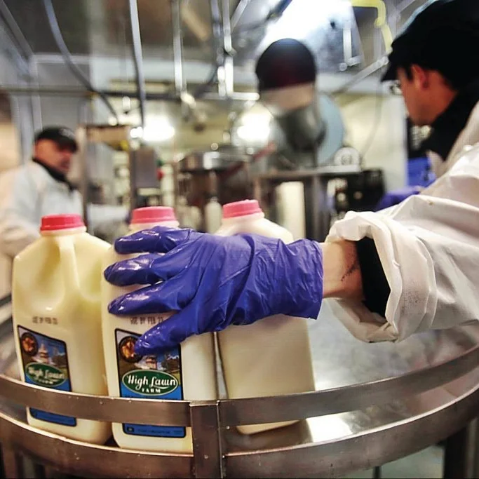 Men working in dairy processing plant.