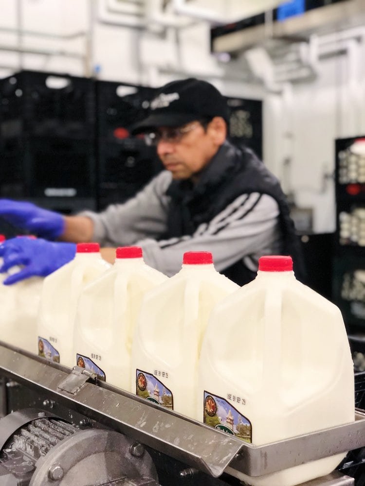 high_lawn_farm_milk_bottling_line.jpg