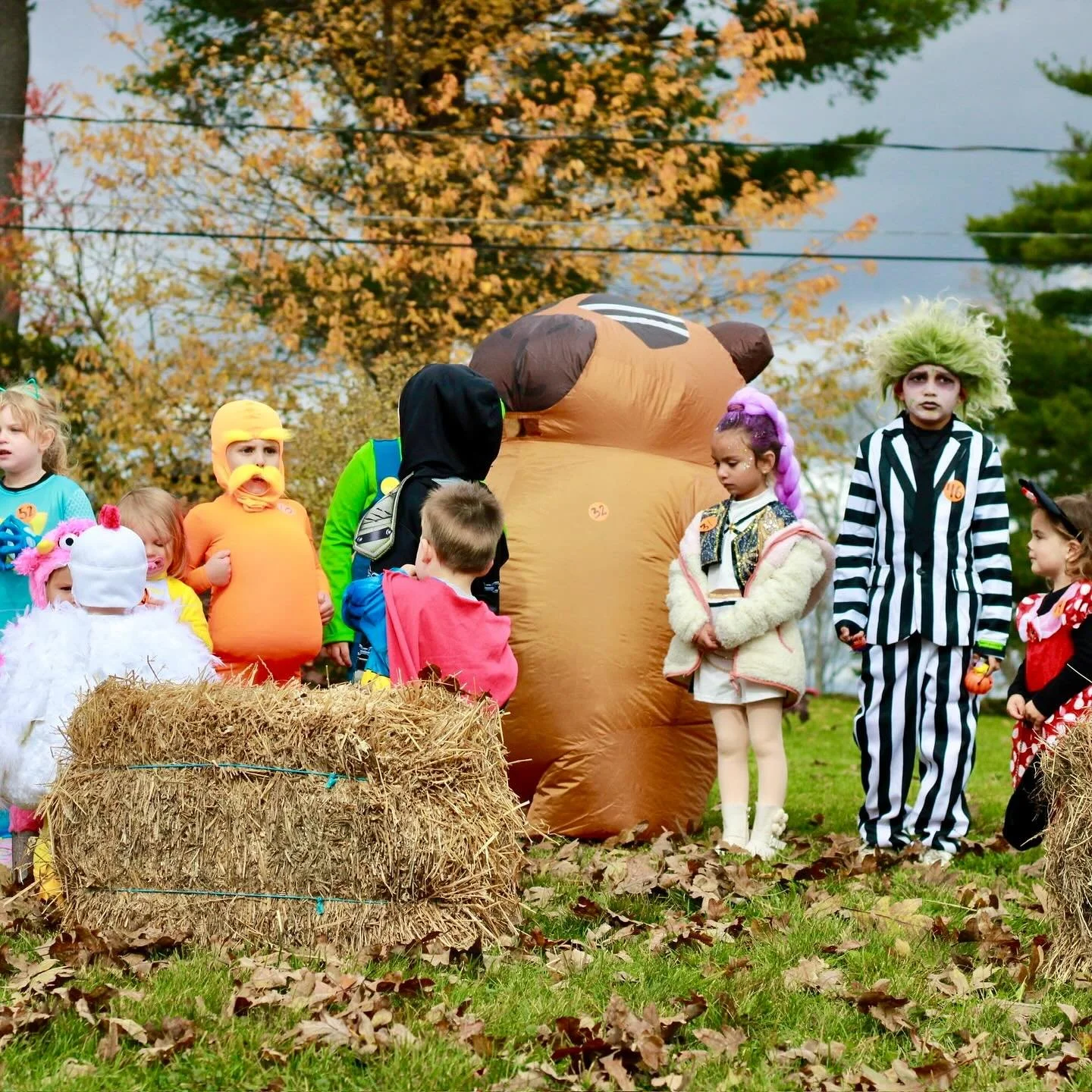 We had so much fun at High Lawn Halloween on Saturday! Thank you all so much for joining us. It was a blast to see you all in your awesome costumes π»ππ·οΈ
An enormous Thank You to the team at @lee_bank_ma for helping us make this event happen! Than
