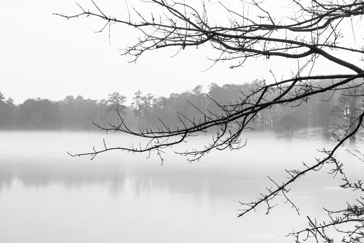 black and white photography, virginia beach photographer, stumpy lake pictures