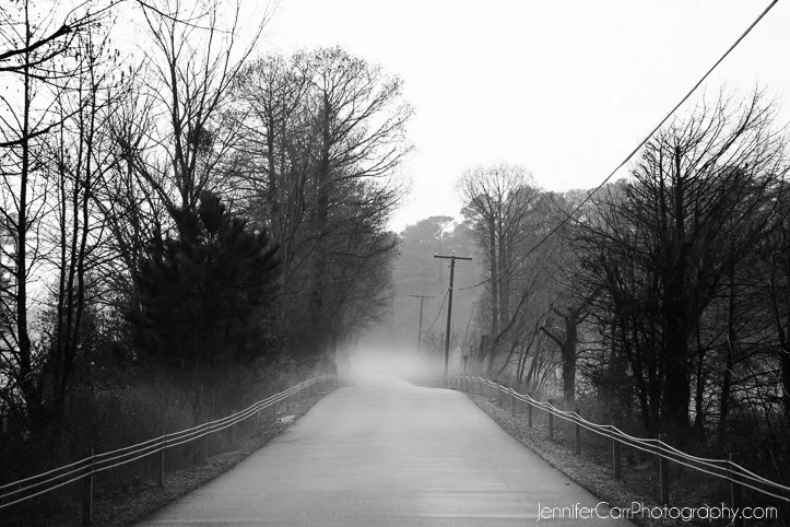 black and white photography, virginia beach photographer, stumpy lake pictures
