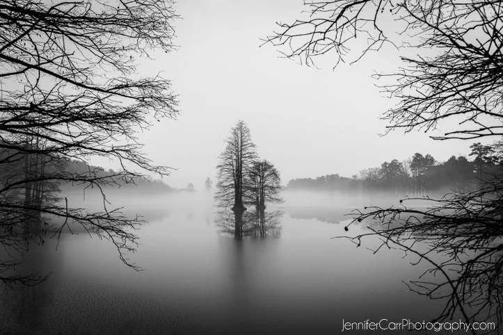 black and white photography, virginia beach photographer, stumpy lake pictures
