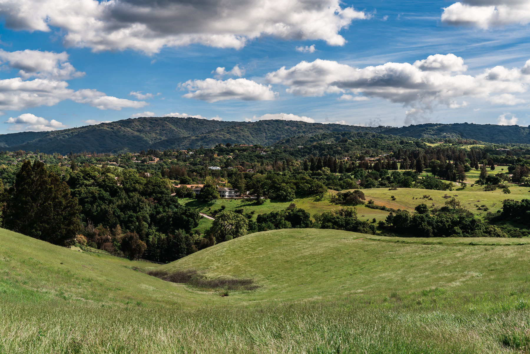2019.04.16 Arastradero Preserve Palo Alto California © Jennifer Carr Photography-3.jpg