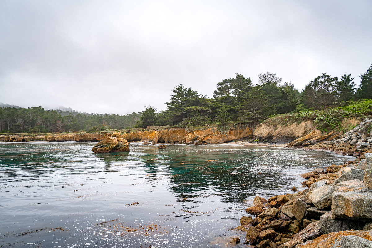 Point Lobos State Reserve © Jennifer Carr Photography-5.jpg