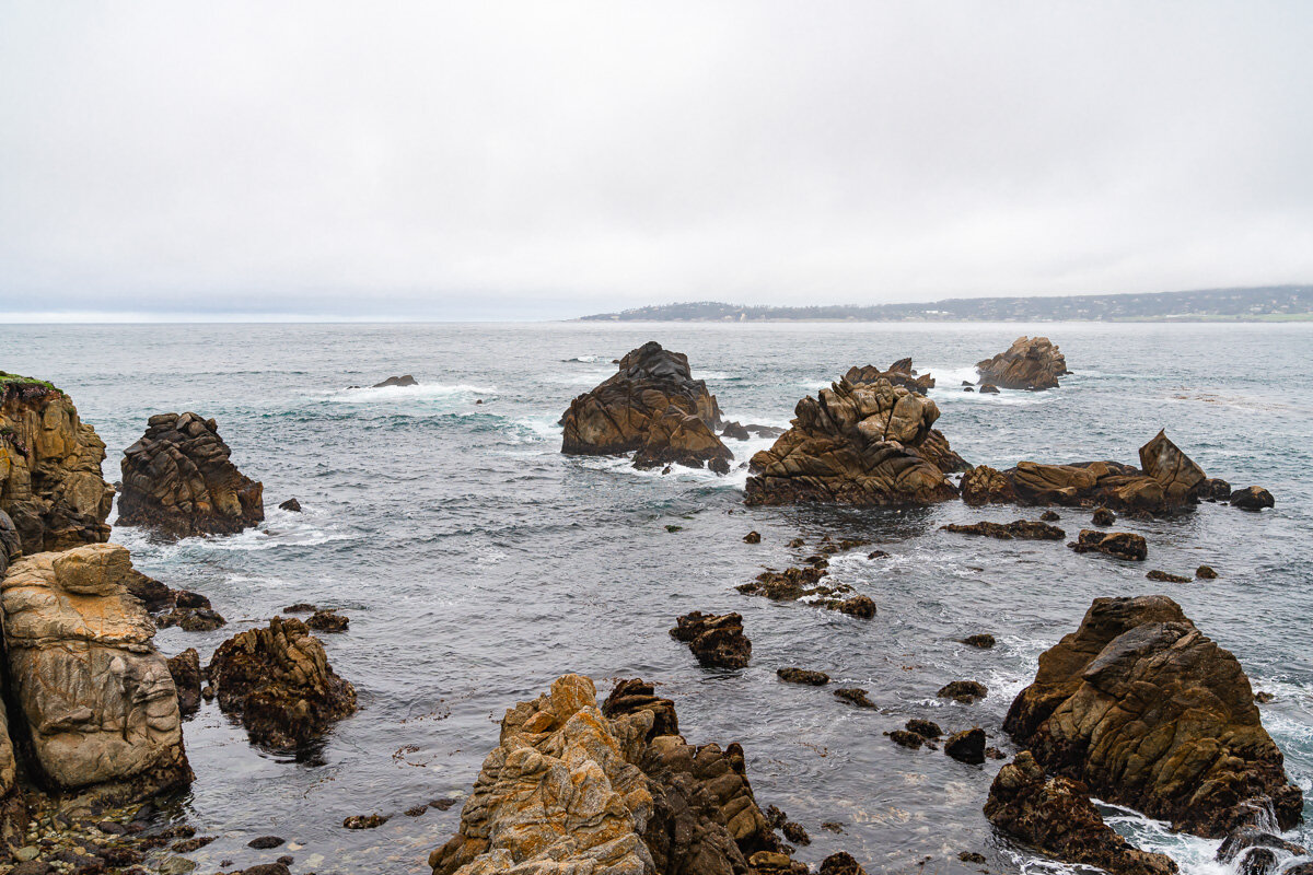Point Lobos State Reserve © Jennifer Carr Photography-13.jpg