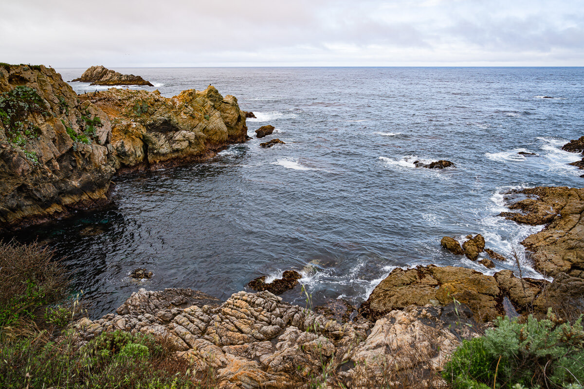 Point Lobos State Reserve © Jennifer Carr Photography-18.jpg
