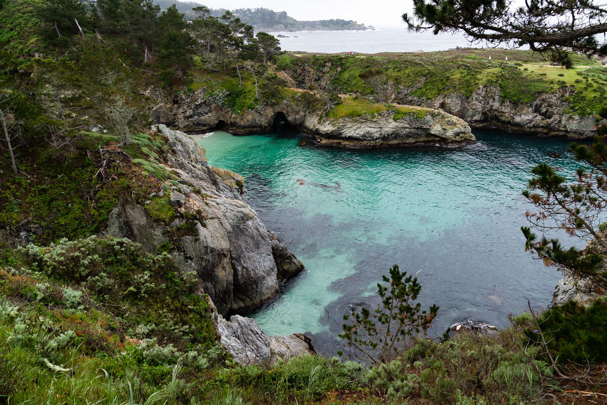 Point Lobos State Reserve © Jennifer Carr Photography-19.jpg
