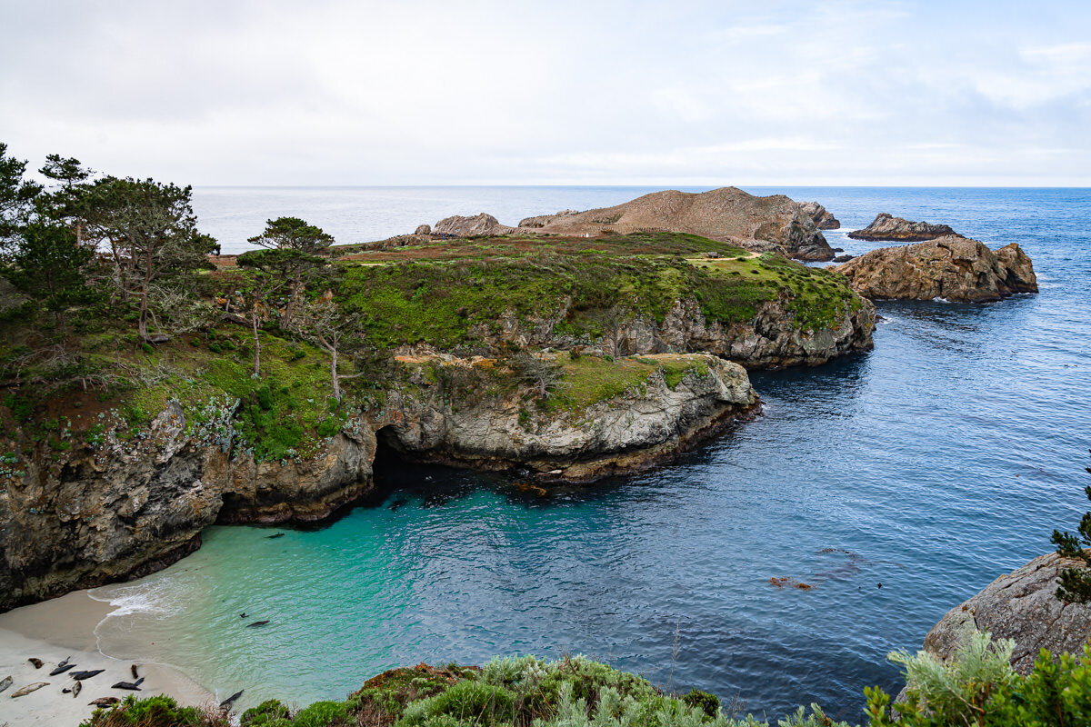 Point Lobos State Reserve © Jennifer Carr Photography-24.jpg
