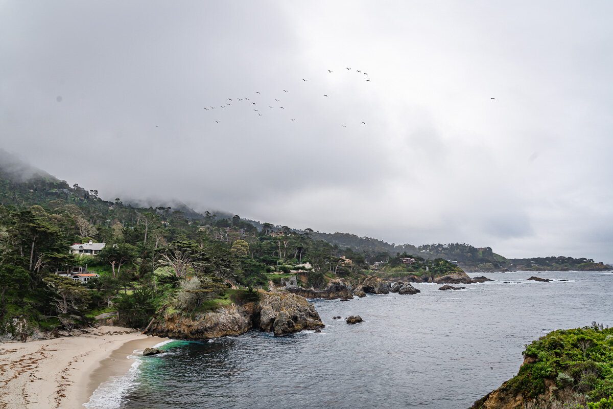 Point Lobos State Reserve © Jennifer Carr Photography-28.jpg