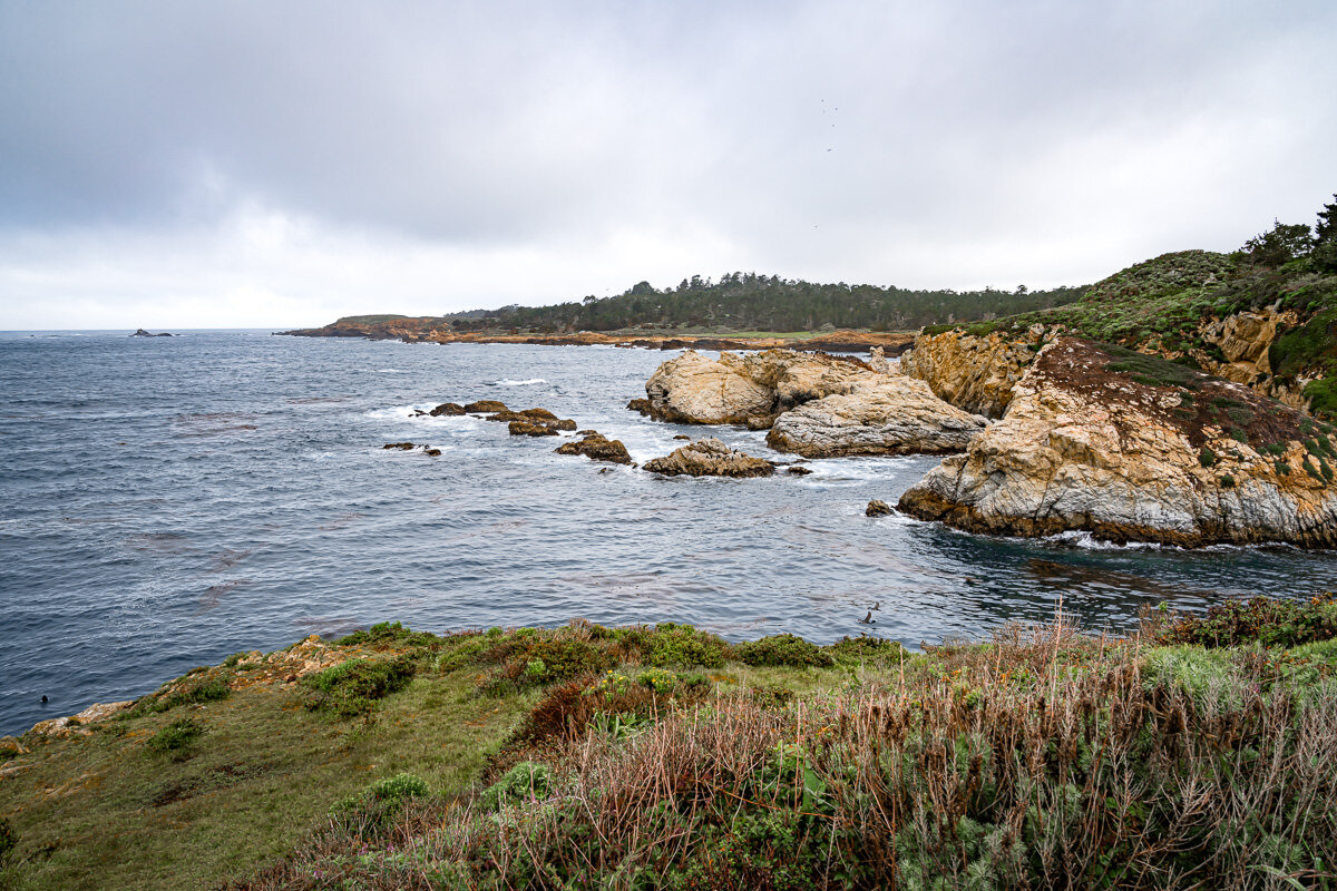 Point Lobos State Reserve © Jennifer Carr Photography-30.jpg