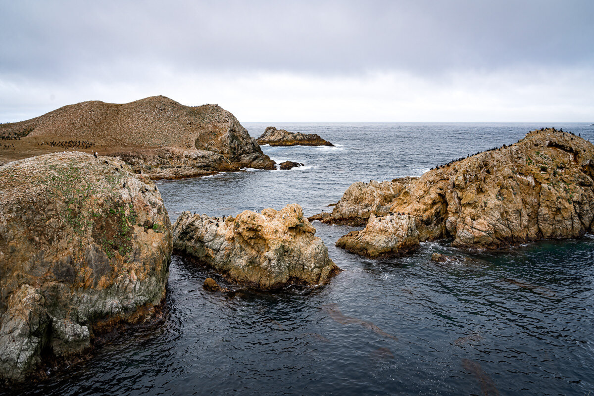 Point Lobos State Reserve © Jennifer Carr Photography-32.jpg