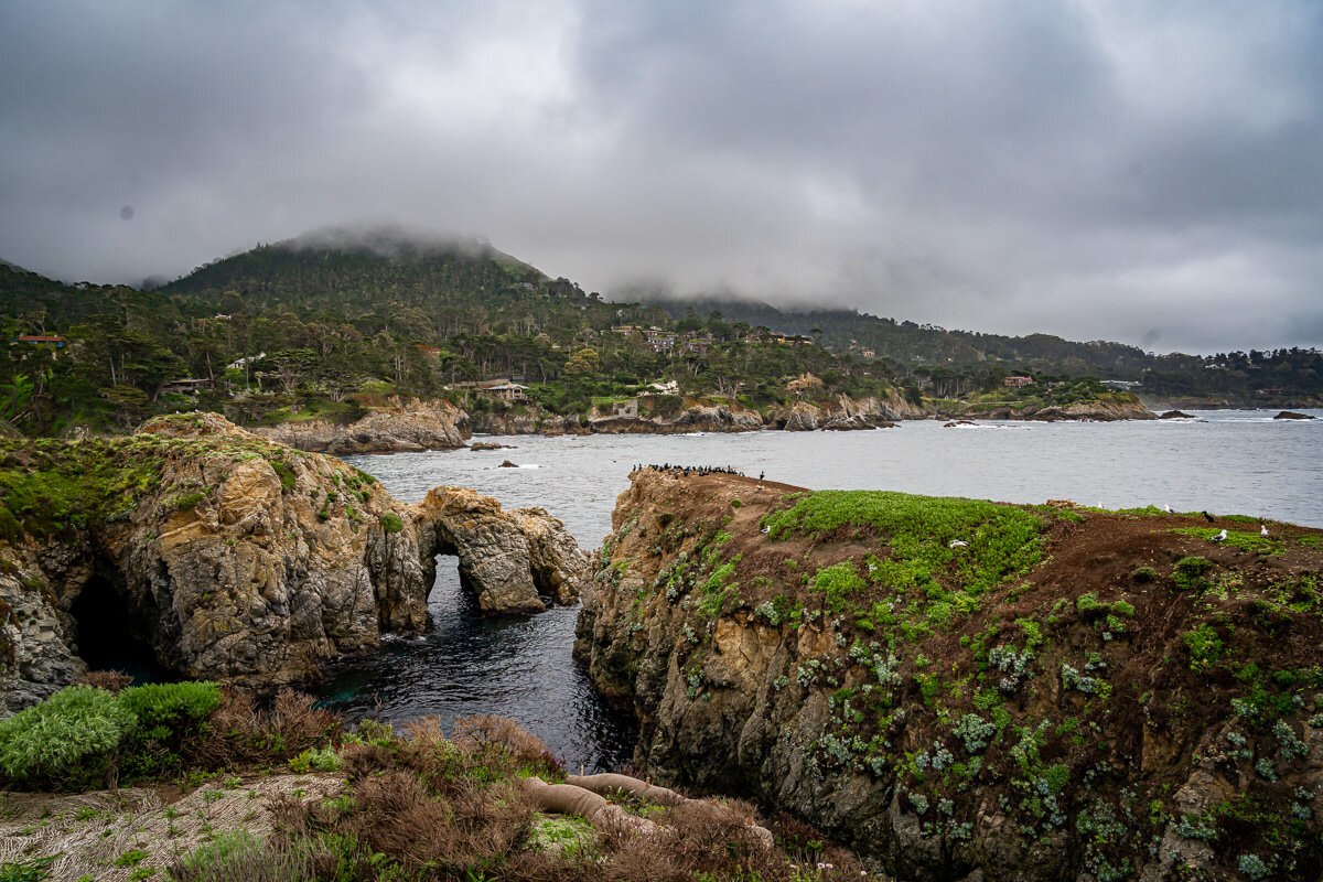 Point Lobos State Reserve © Jennifer Carr Photography-47.jpg
