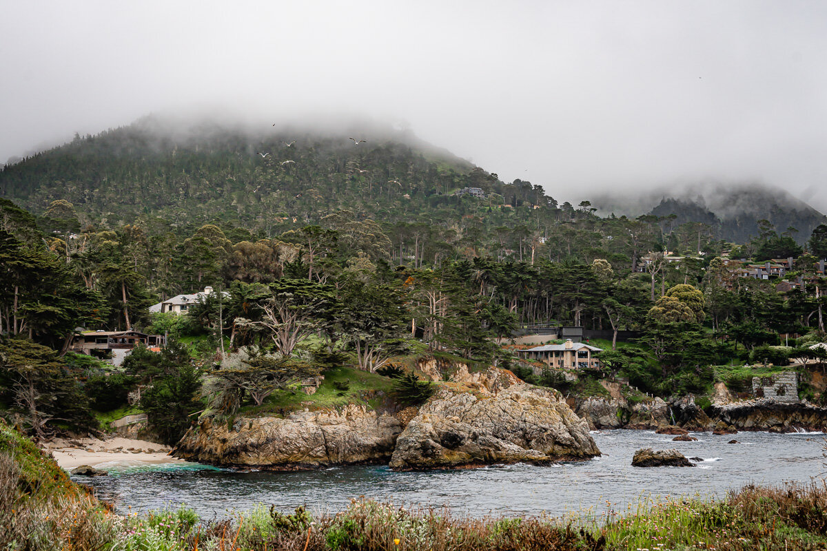 Point Lobos State Reserve © Jennifer Carr Photography-50.jpg