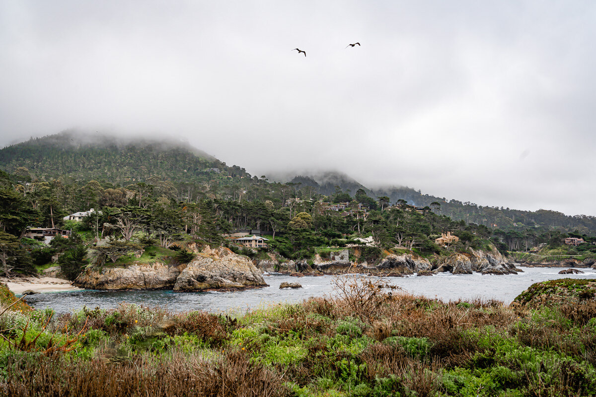 Point Lobos State Reserve © Jennifer Carr Photography-51.jpg