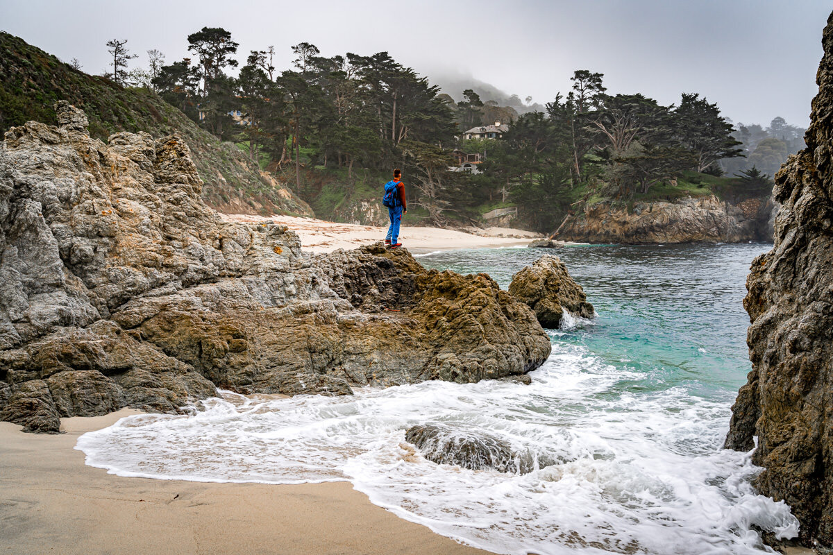 Point Lobos State Reserve © Jennifer Carr Photography-58.jpg