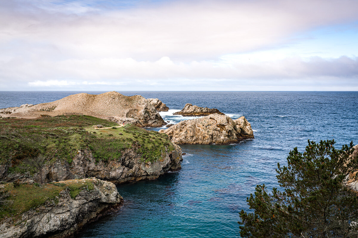 Point Lobos State Reserve © Jennifer Carr Photography-62.jpg