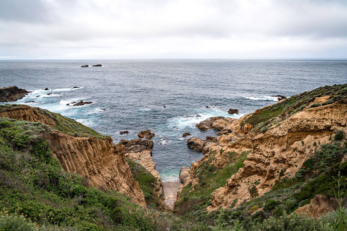 Point Lobos State Reserve © Jennifer Carr Photography-63.jpg