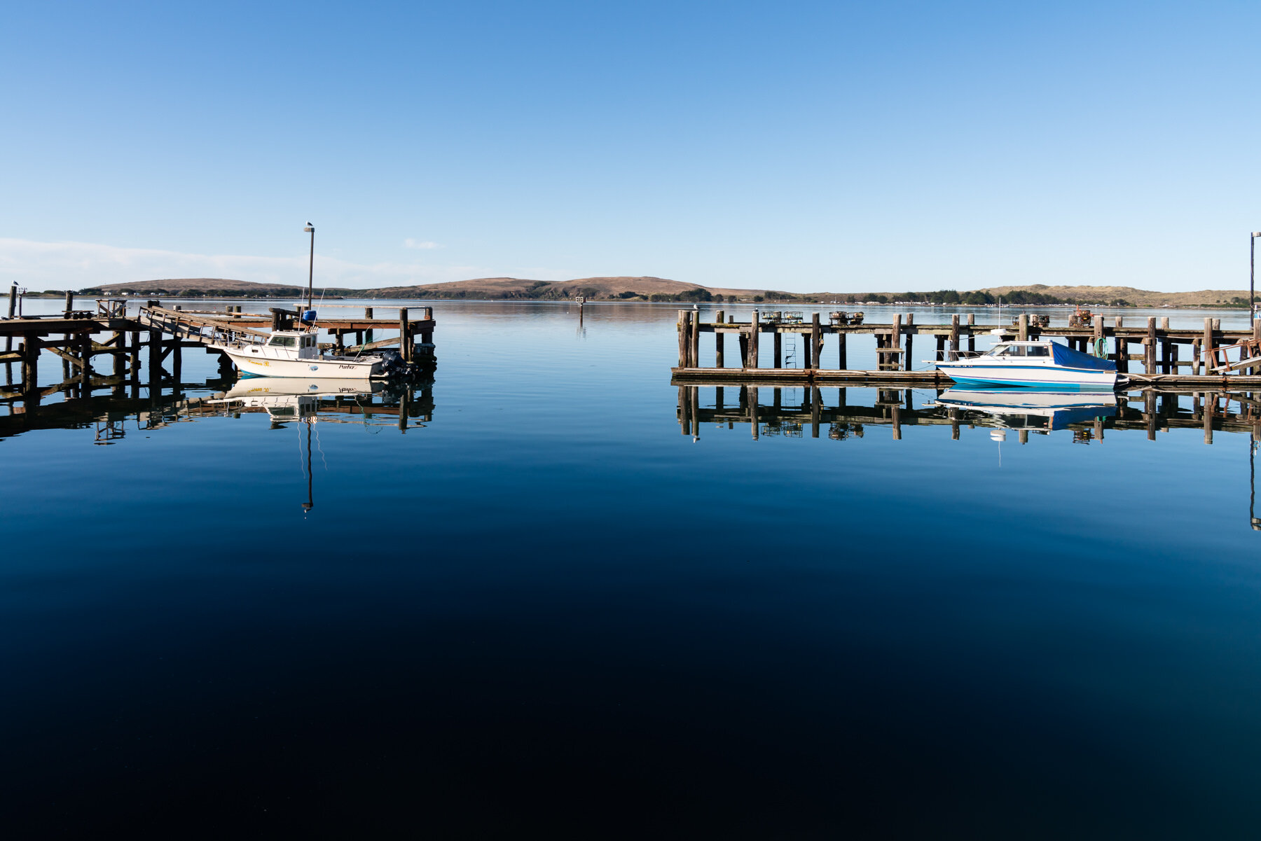Bodega Bay © Jennifer Carr Photography-2.jpg